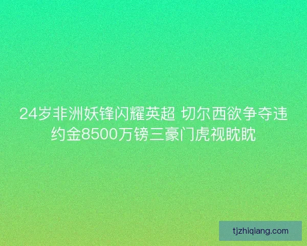 24岁非洲妖锋闪耀英超 切尔西欲争夺违约金8500万镑三豪门虎视眈眈 24岁非洲妖锋闪耀英超 切尔西欲争夺违约金8500万镑三豪门虎视眈眈