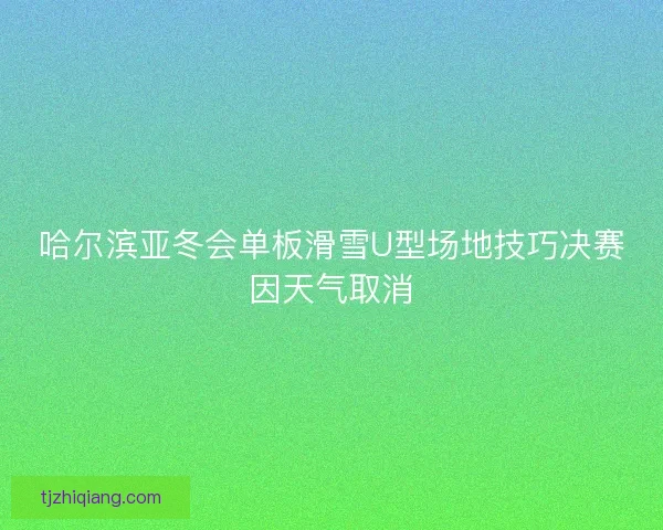哈尔滨亚冬会单板滑雪U型场地技巧决赛因天气取消