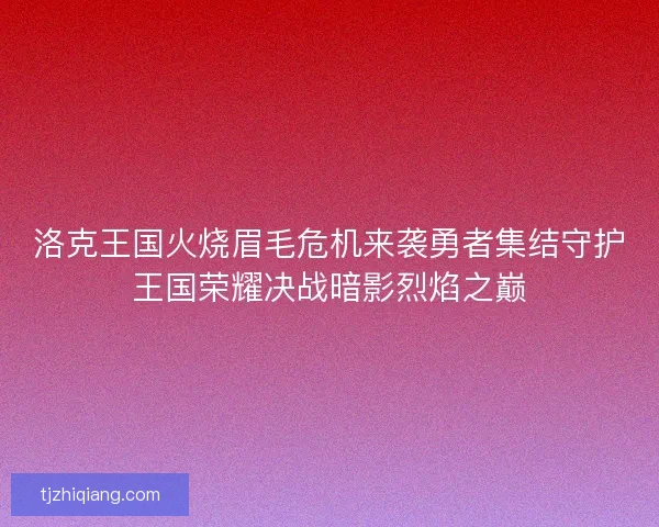 洛克王国火烧眉毛危机来袭勇者集结守护王国荣耀决战暗影烈焰之巅